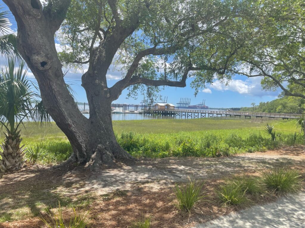 Daniel Island Waterfront Park