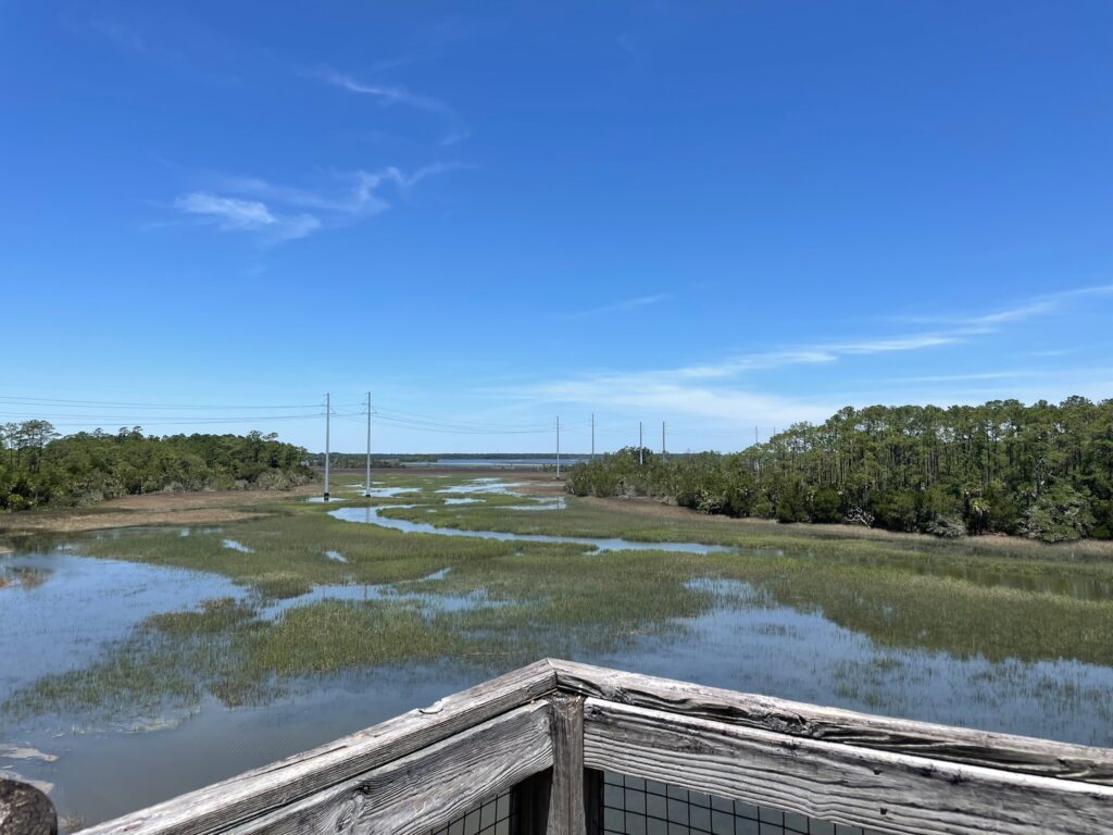 Palmetto Islands County Park