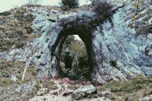 Neque voluptatem aut dolorum officiis